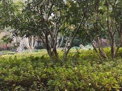 -徐家汇源景区-衡山公园