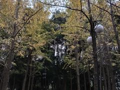 -艾溪湖湿地公园