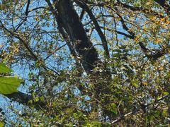 -孔雀湖生态旅游区