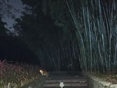 -晓港公园