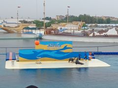 -秦皇岛乐岛海洋王国