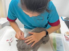 -芭比堂动物医院·24小时·眼科中心(深圳中心)