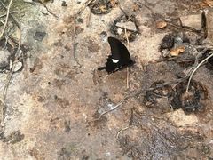 -高荡千年布依古寨旅游景区