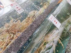 -宝燕壹号(徐汇店)
