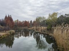 -东台西溪天仙缘景区