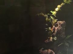 -泰之源足浴会所(玉环店)