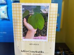 -广州保利时光里(建设大马路店)