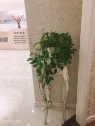 -Cocodemer女性健康·产后恢复(天一广场店)