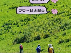 -灵山