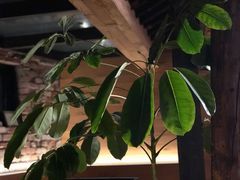 -VOYAGE COFFEE(北锣鼓巷店)