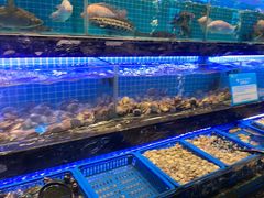 -喜庭海鲜自助(深圳万丰海岸城店)