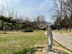 -大蜀山国家森林公园