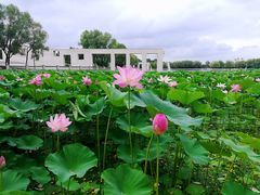 -长春世界雕塑园冰雪艺术天地
