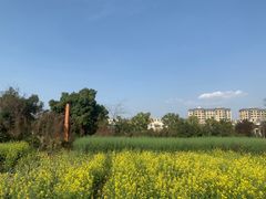 -两河城市森林公园