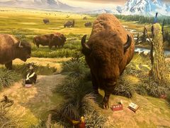 -陕西自然博物馆