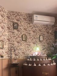 点击看大图 -iSpa