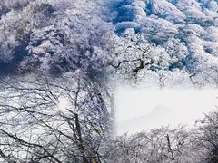 -梵净山旅游区