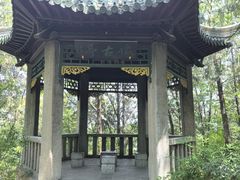 -云龙山