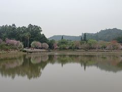 -大洋家·精品潮汕菜·生腌砂锅粥(天河东路店)