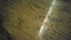 -毛毛虫儿童摄影馆