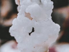 胸口捞-陈记顺和潮汕牛肉火锅(韩江路店)