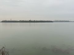 -漕湖湿地公园