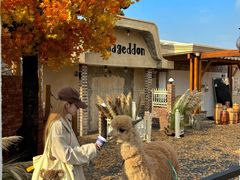 -Blue Concept Cafe&Farm·關於藍