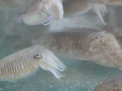 -全记海鲜菜馆(海傍街店)