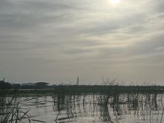 -白洋淀景区