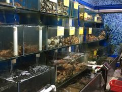 水产区-蚝专家(北滘店)
