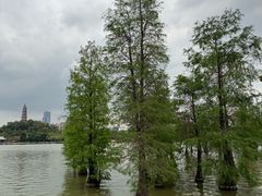 -顺峰山公园