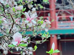 -潭柘寺景区