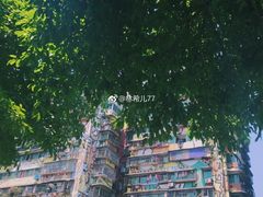 -黄桷坪涂鸦艺术街