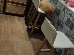 -Oasis coffee燕谷咖啡(公信店)