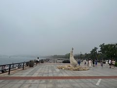 -幸福门
