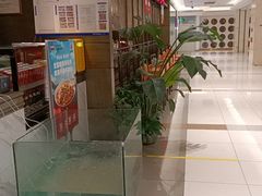 -旺顺阁鱼头泡饼(常营店)
