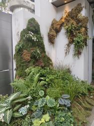 -上海玫瑰医疗美容医院