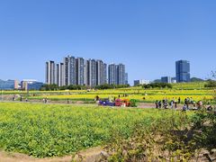 -光明小镇欢乐田园