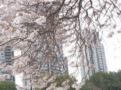 -红星桥(地铁站)