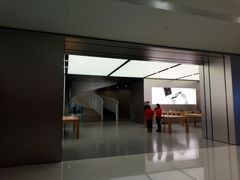 -Apple零售店(新街口店)