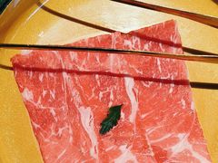 -牛New寿喜烧(金鹰世界店)