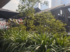 -星巴克臻选(成都太古里店)
