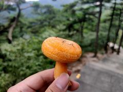 -天柱山风景区
