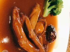 -皇朝会.经典传统粤菜(外滩店)