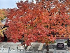 -香山公园