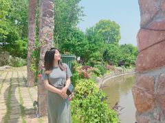 -鹅湖玫瑰文化园