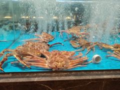 -艳阳天·非遗楚菜(武汉客厅店)