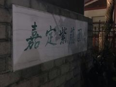 -嘉定紫藤园