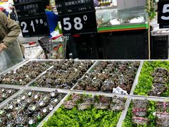 -永辉超市(鲁谷店)