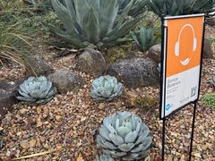 -墨尔本皇家植物园